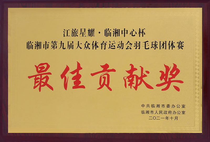 临湘市第九届大众体育运动会羽毛球团体赛最佳贡献奖